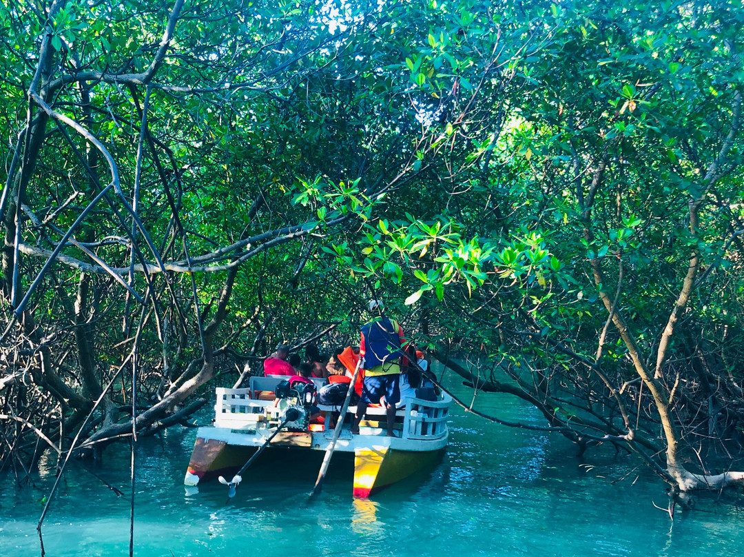 Barra das Moitas Beach-Icarai de Amontada必去景点