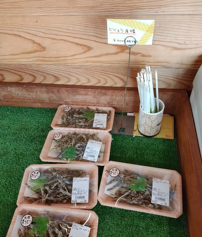 Michi-no-Eki Kitakawabe-加须市必去景点