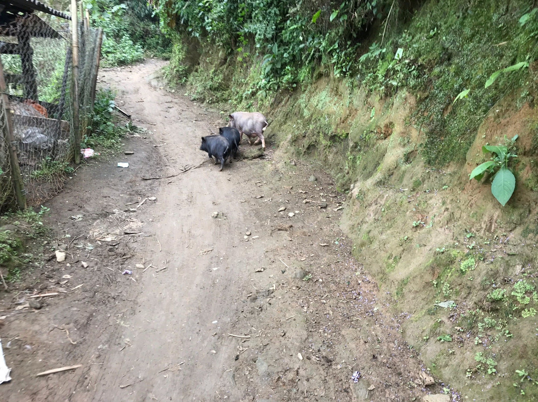 Treking Sa pa With Trang Adventures-沙巴必去景点
