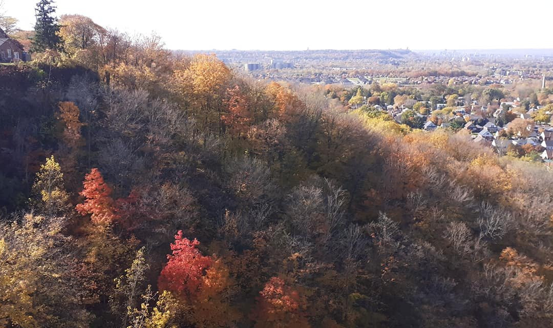 Devil's Punchbowl Conservation Area景点图片