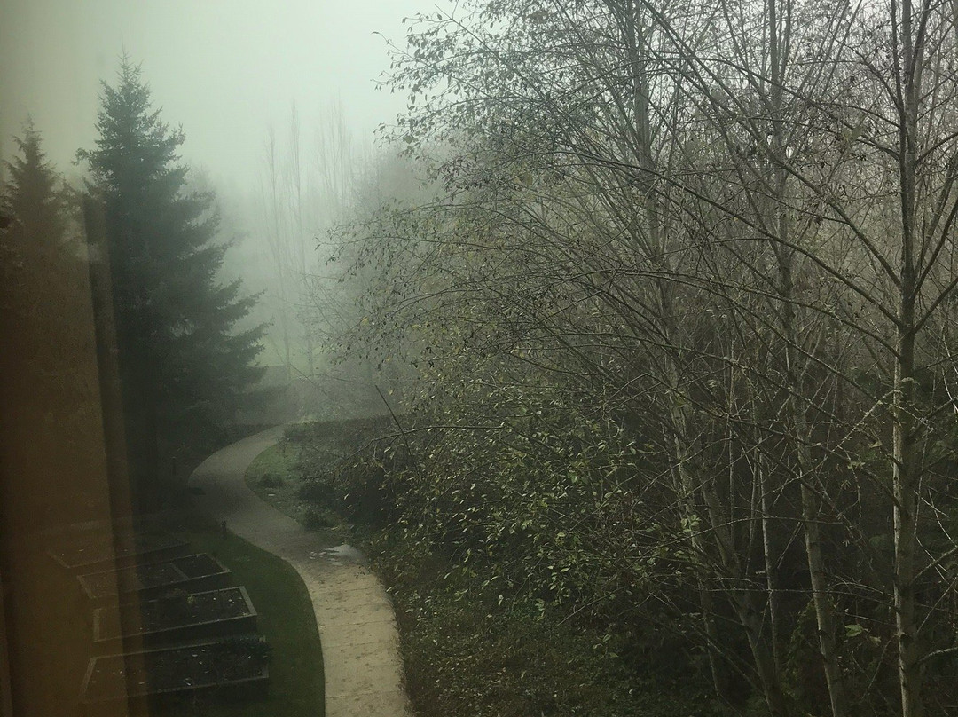 The Spa at Cedarbrook-西塔科必去景点