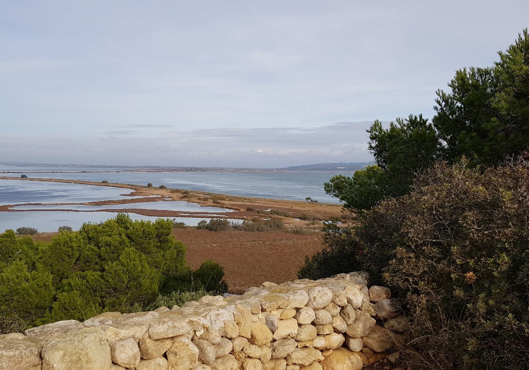 Ile Sainte-Lucie-Port La Nouvelle必去景点