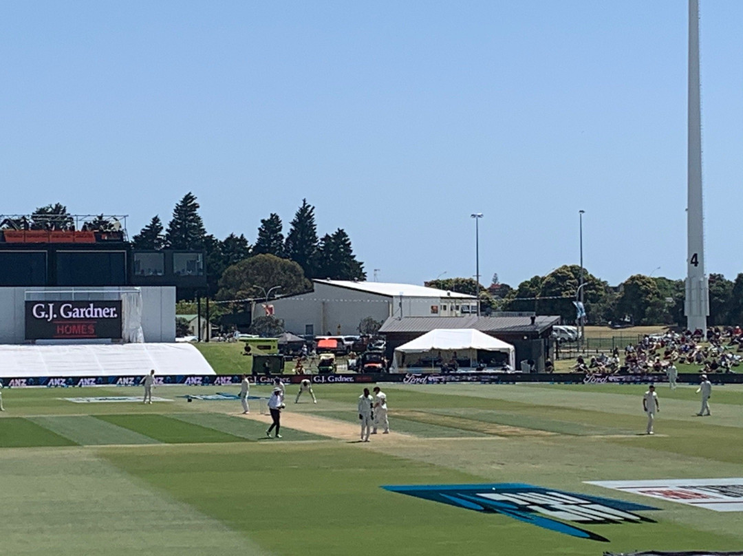 Bay Oval Cricket Ground景点图片