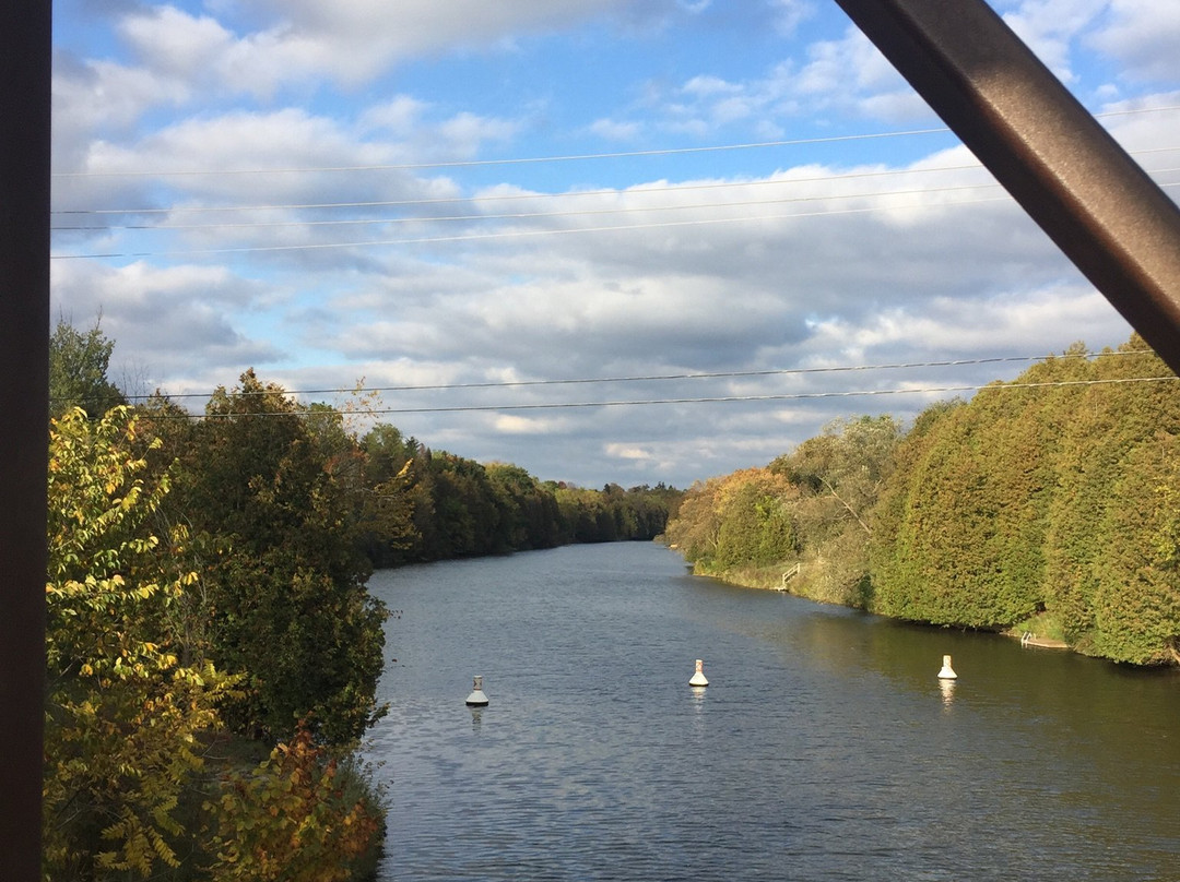 Bissell Park-伊劳拉必去景点