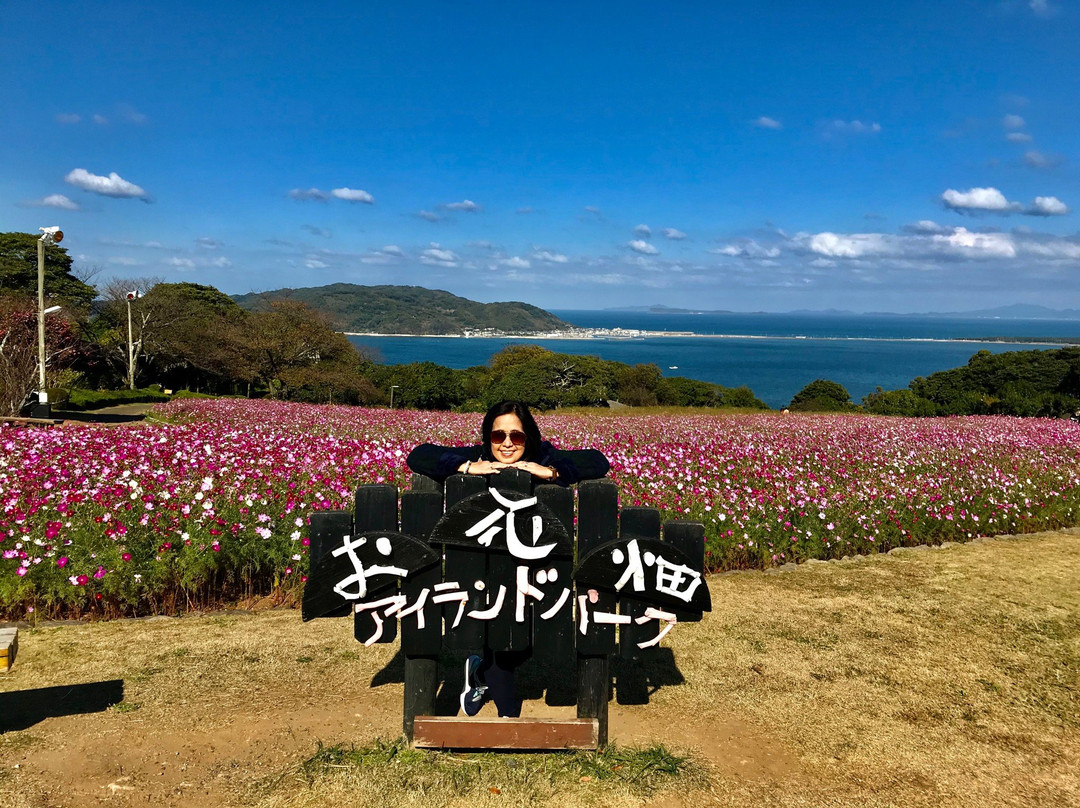 Nokonoshima Island Park景点图片