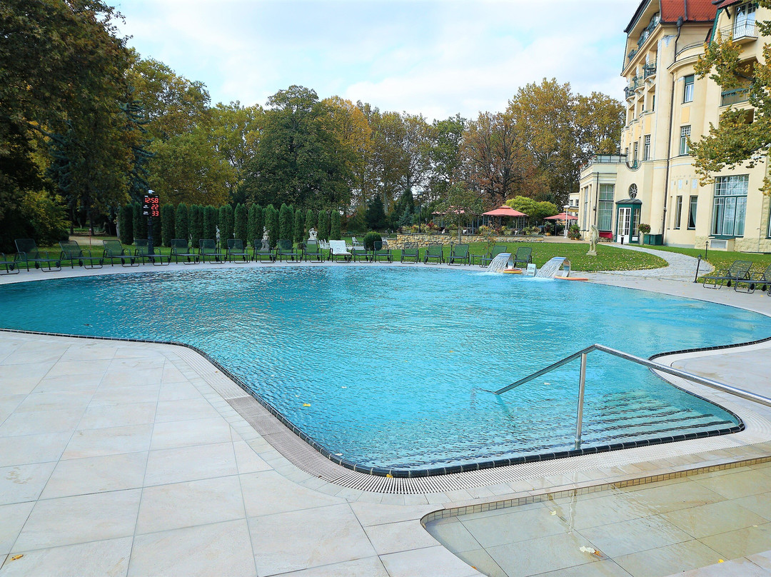 Ensana Thermia Palace主图