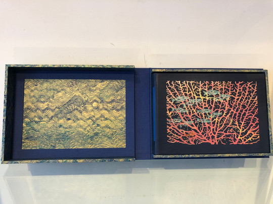 Gallery Book Arts-华盛顿特区必去景点