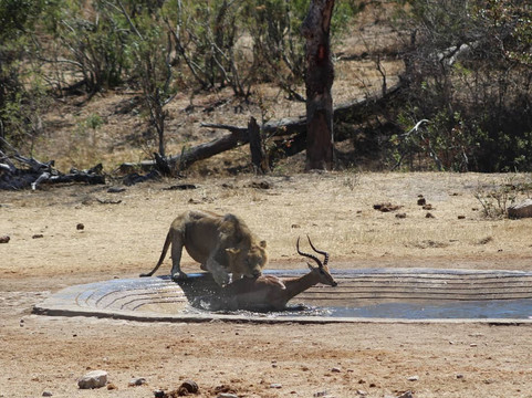 Muzi Safari Tours-雾观必去景点
