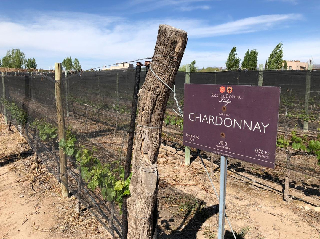 Rosell Boher Winery Lodge & Spa主图