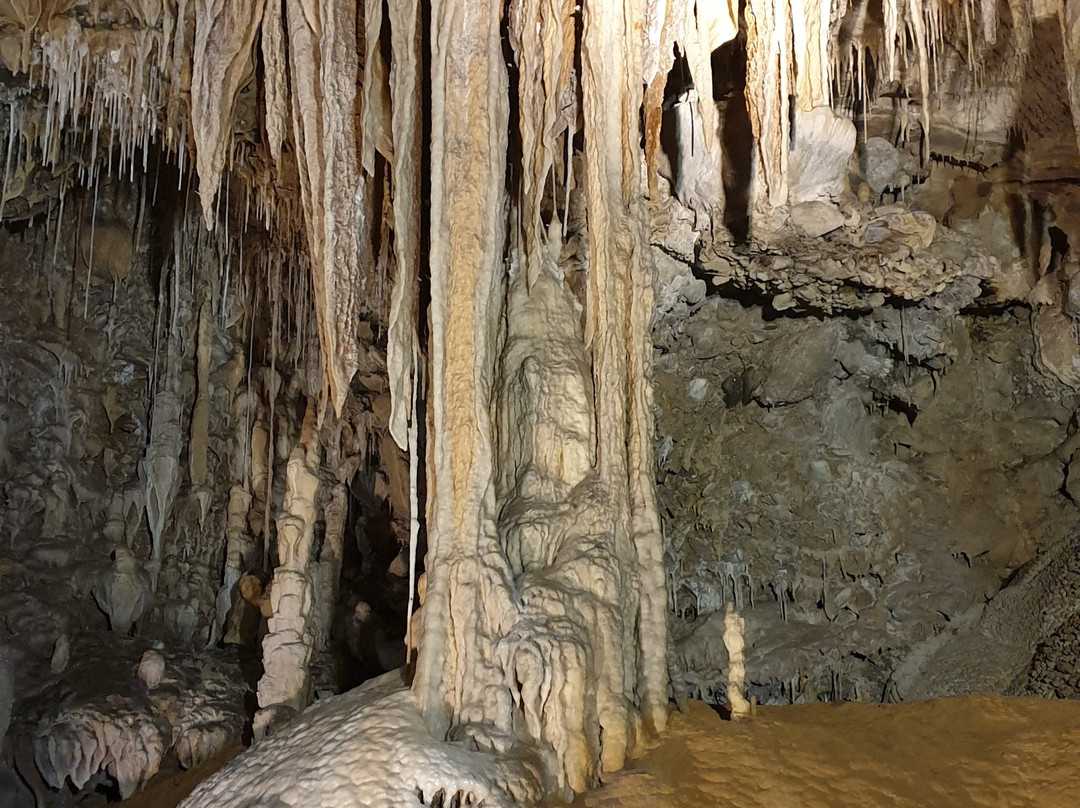 Mole Creek Caves-茉莉溪必去景点