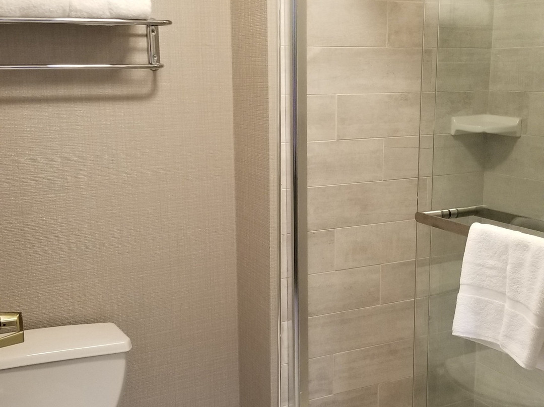 Homewood Suites by Hilton Columbia主图