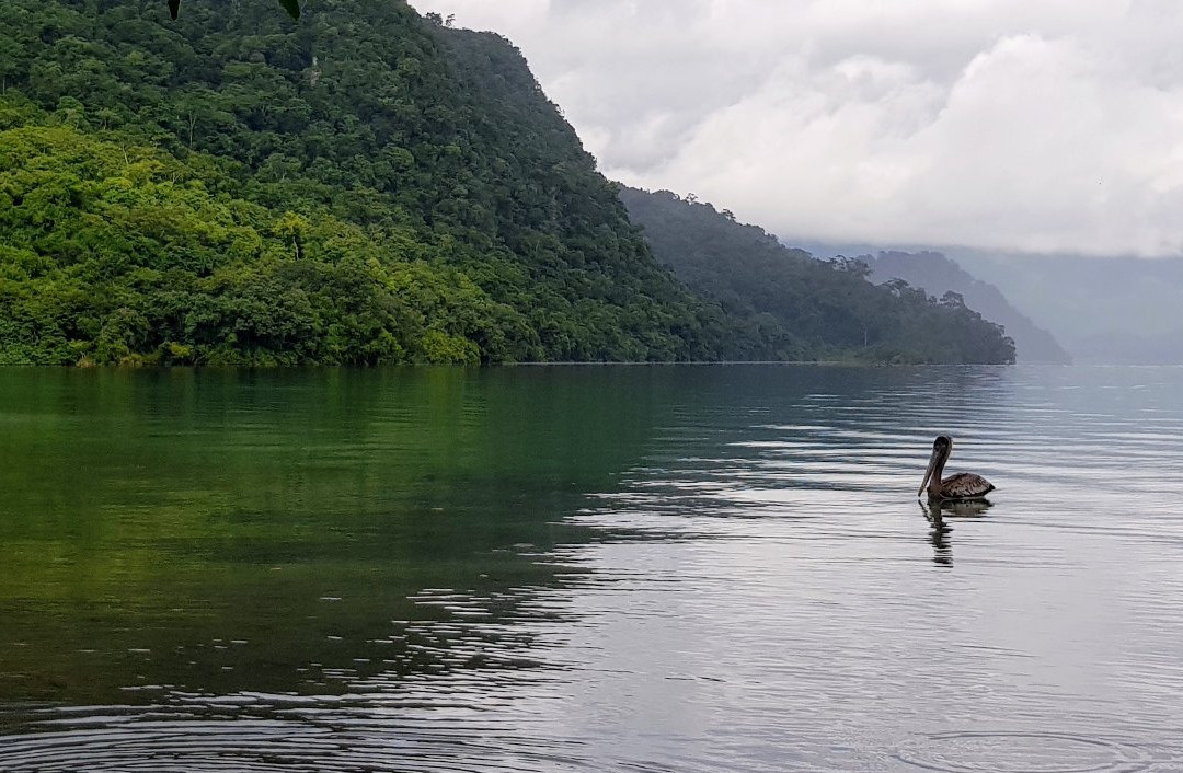 Laguna Miramar景点图片