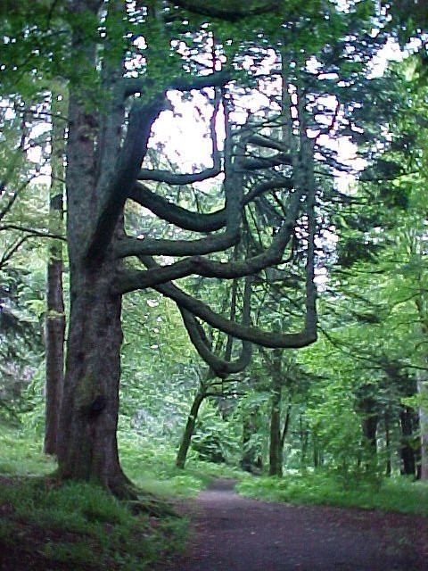 Armadale Castle, Gardens & Museum of the Isles-Armadale必去景点