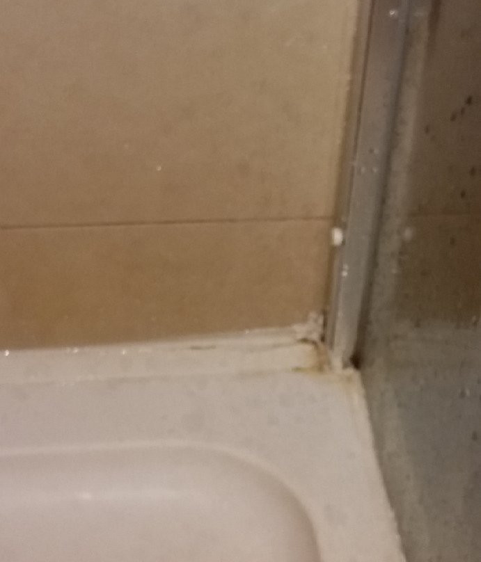 Bristol Palace Hotel主图