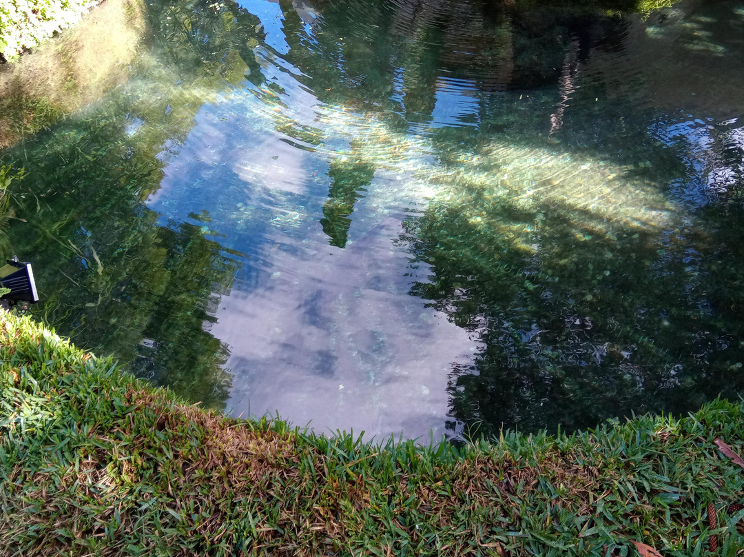 Jardim Doutor Santiago景点图片