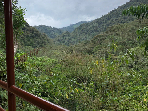 Neotropical Nature & Birding Trips-基多必去景点