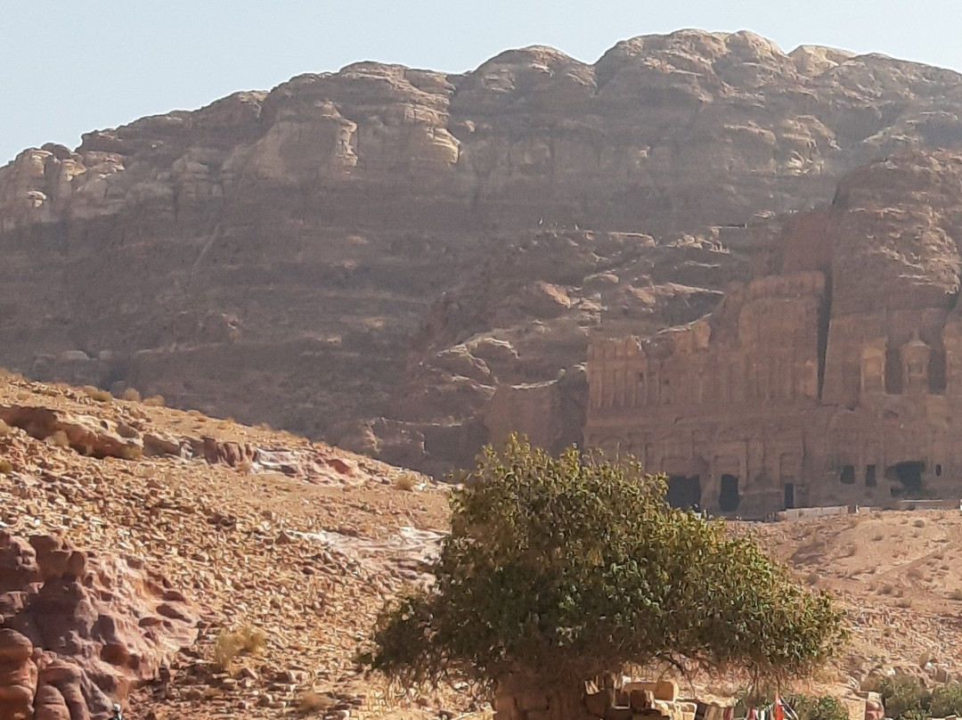 Nymphaeum-佩特拉必去景点