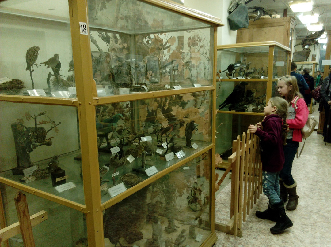 Nature Museum-Borok必去景点