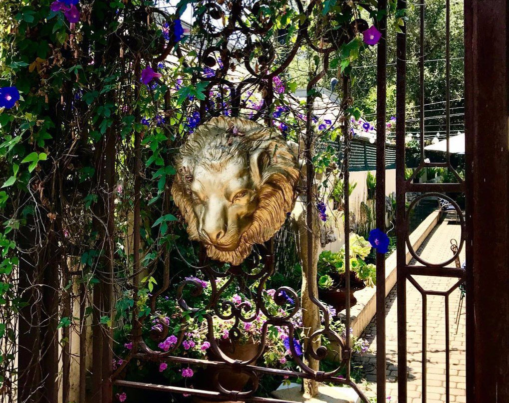 Twisted Roots Vineyard-卡梅尔瓦利必去景点