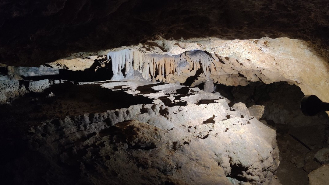 Florida Caverns State Park景点图片