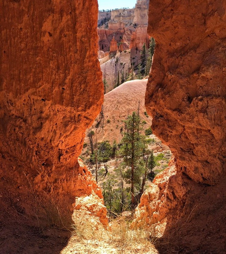 Peek-A-Boo Loop-布莱斯峡谷国家公园必去景点