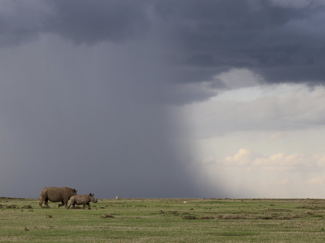 Solio Game Reserve-涅里必去景点