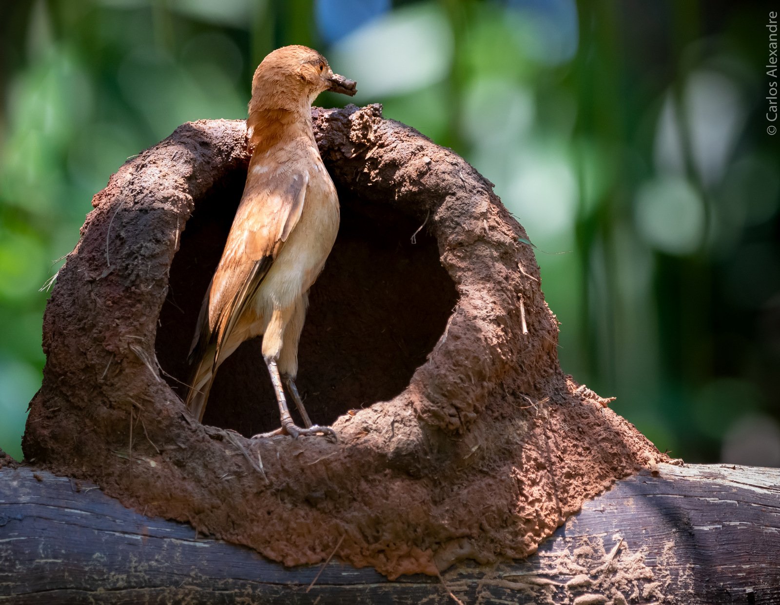 Pousada Reino Encantado-家庭/游戏区