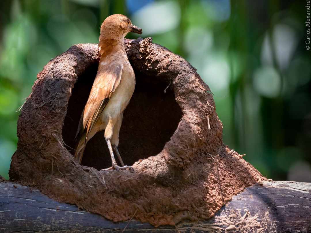 Pousada Reino Encantado主图