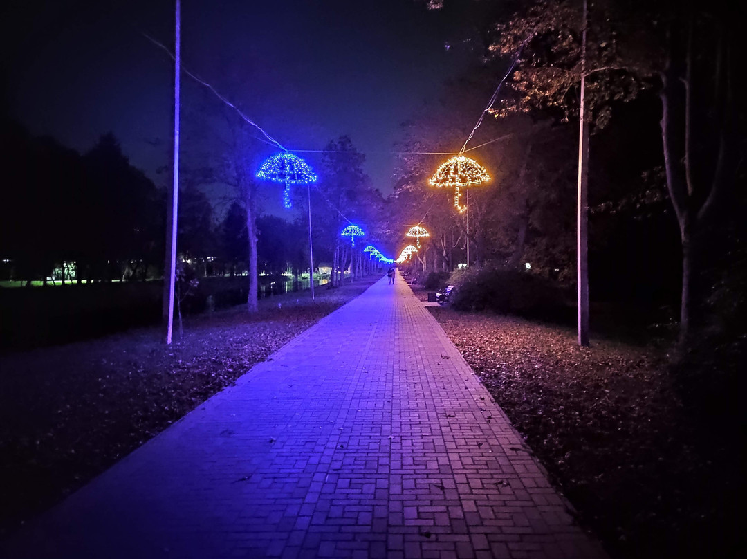 Lesya Ukrainka Central Park-Lutsk必去景点