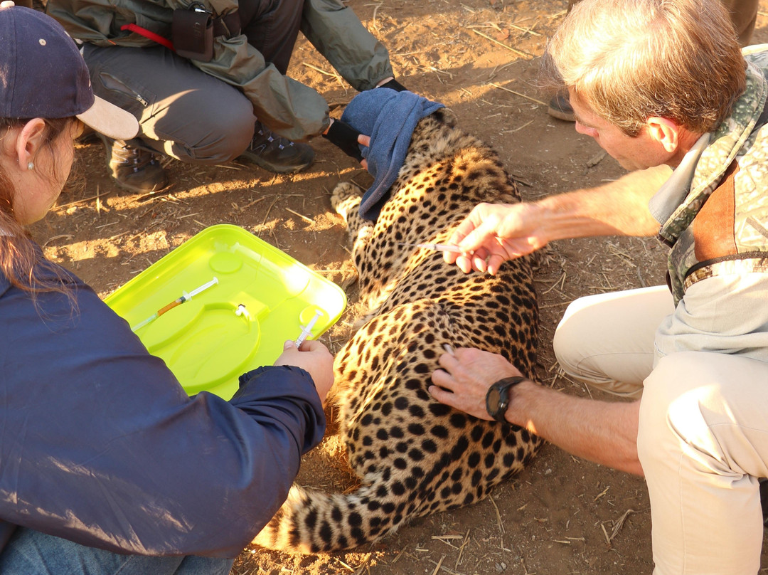 Modgaji Conservation Projects-伐拉博瓦必去景点