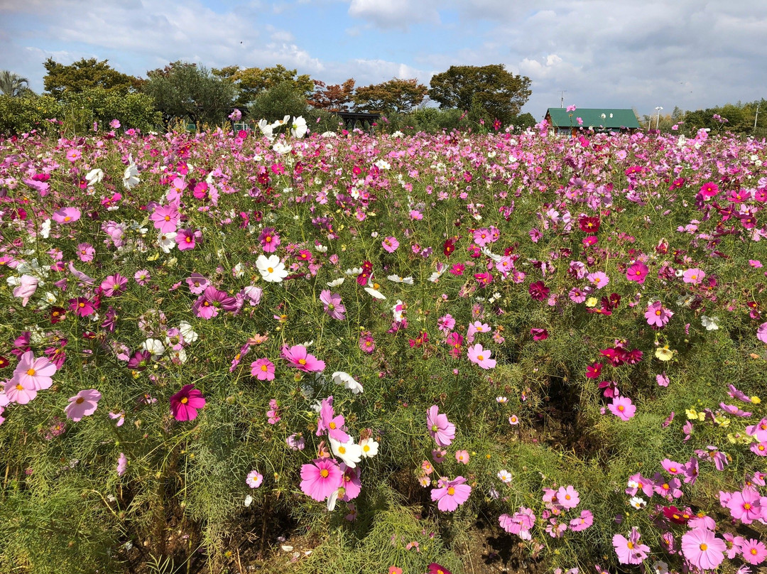 Izumi Recycle Environment Park-和泉市必去景点