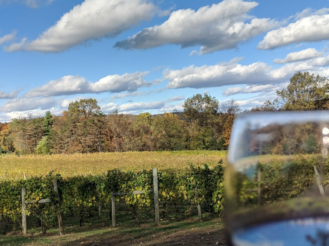 Halbrendt Vineyard & Winery景点图片