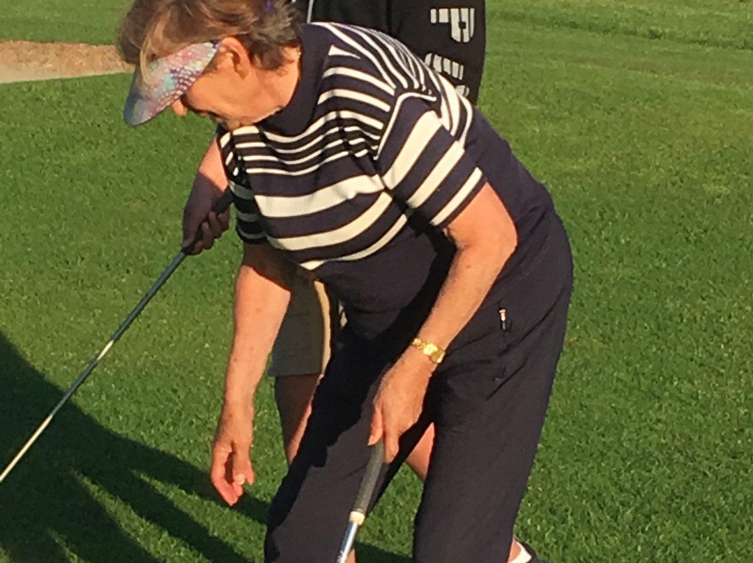 Kosher tours and travel-惠灵顿必去景点