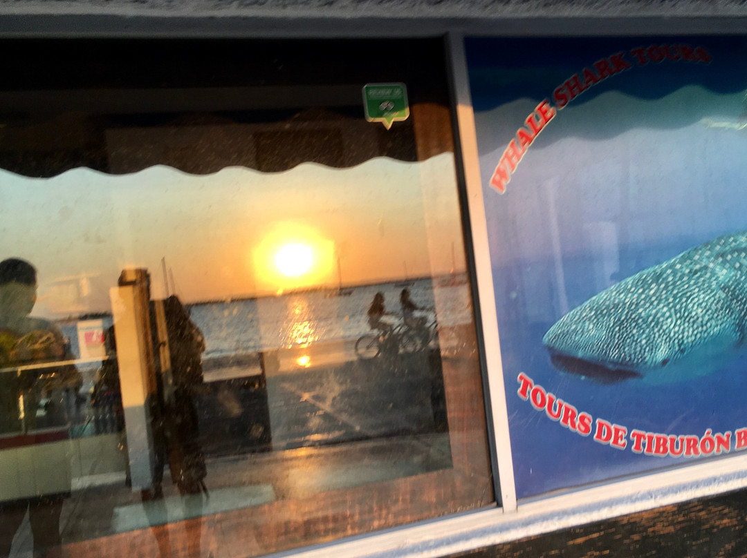 X DIVE MX-拉巴斯必去景点