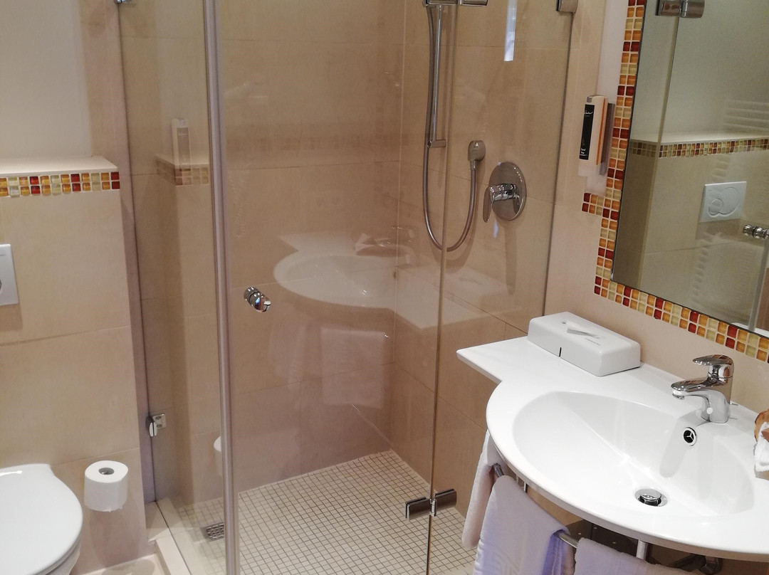 Hotel Elisabeth主图