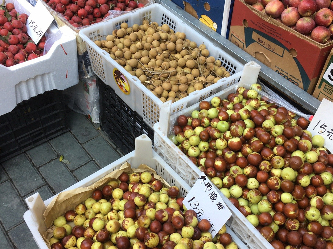 大菜市水产品批发大市场-大连市必去景点