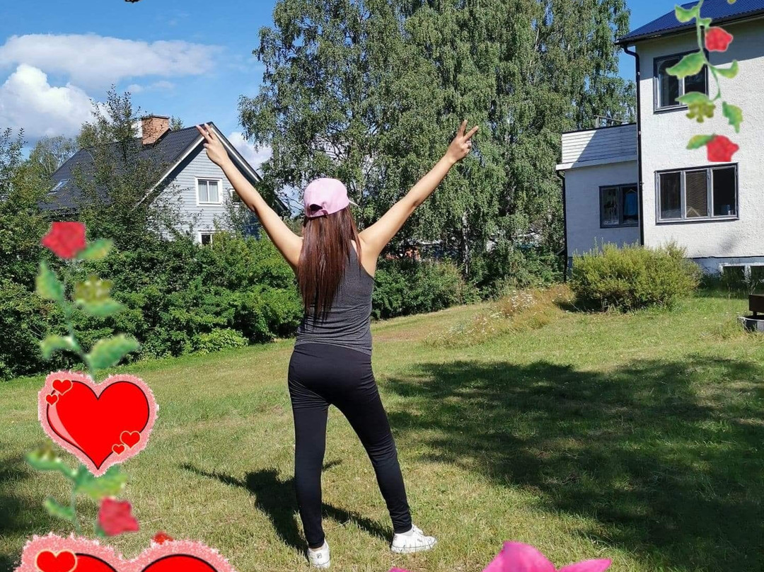 Ytterhogdal旅游攻略图片