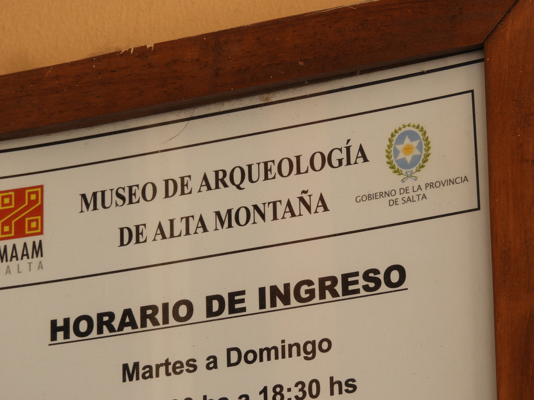 MAAM - 阿尔塔蒙大拿萨尔塔考古博物馆景点图片