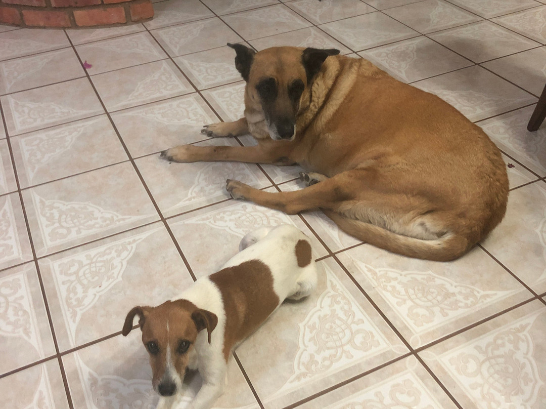 Stephans Guesthouse主图