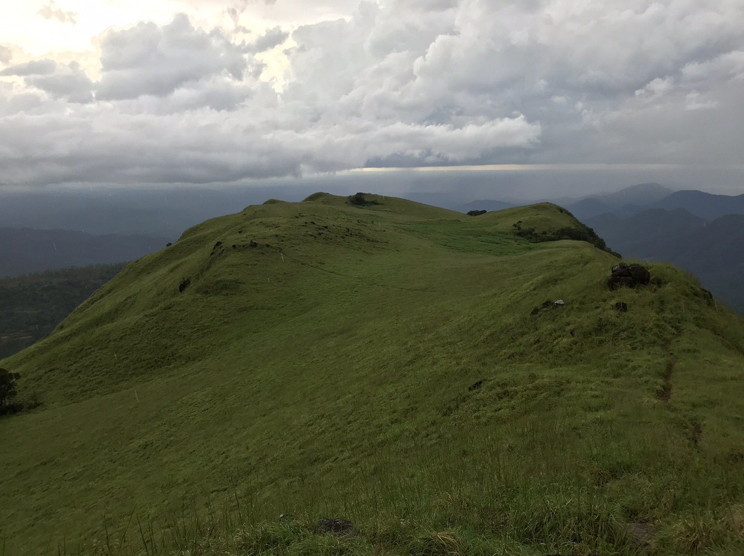 Paithalmala Hill Station景点图片