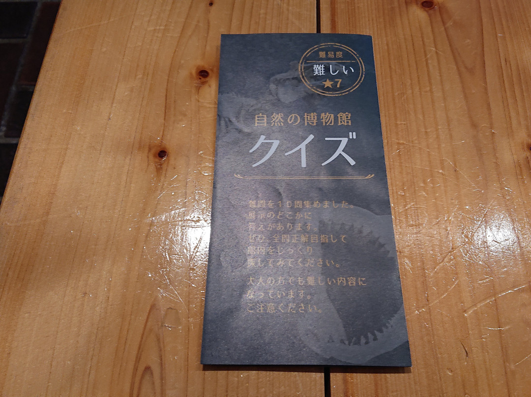 Saitama Museum of Natural History-长瀞町必去景点