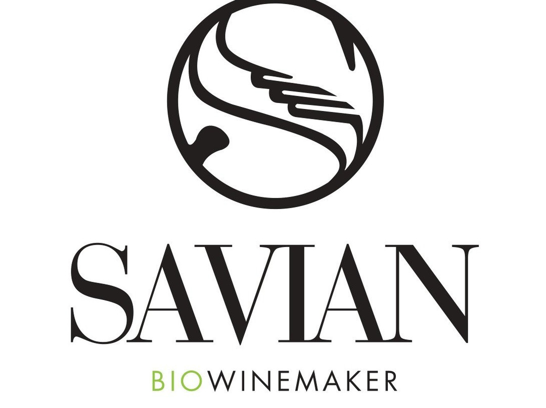 Savian Vini景点图片