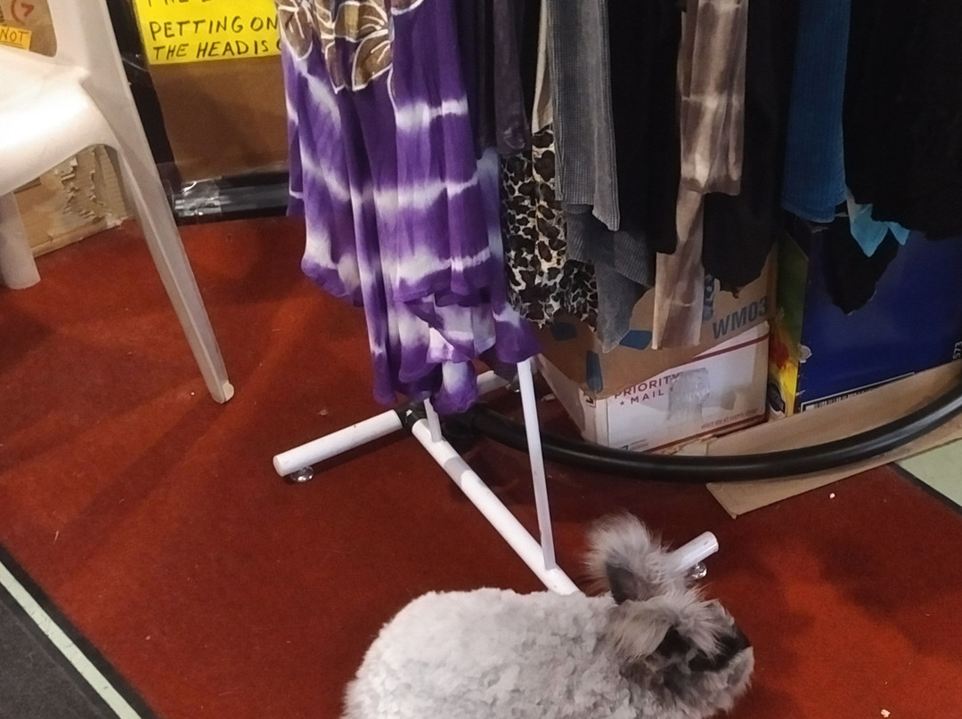 East by West-尤里卡斯普林斯必去景点