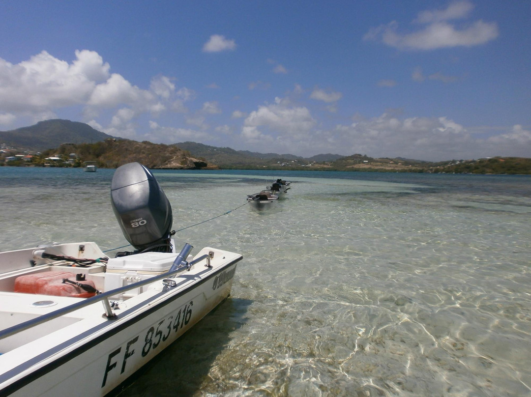 Fleurdo Eco-Excursion