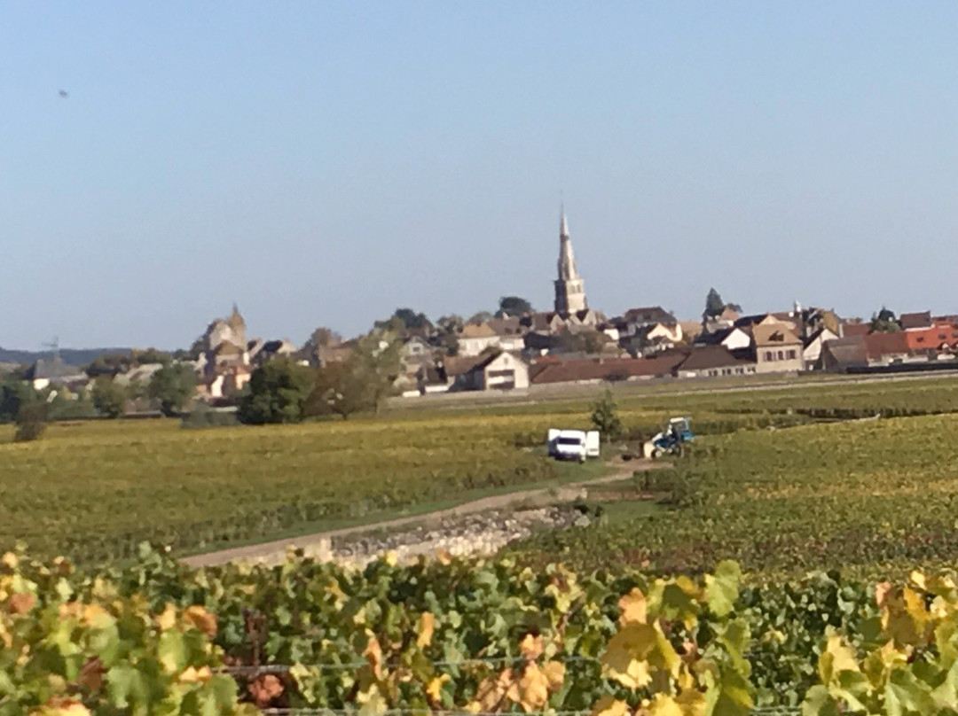 Burgundy Discovery景点图片