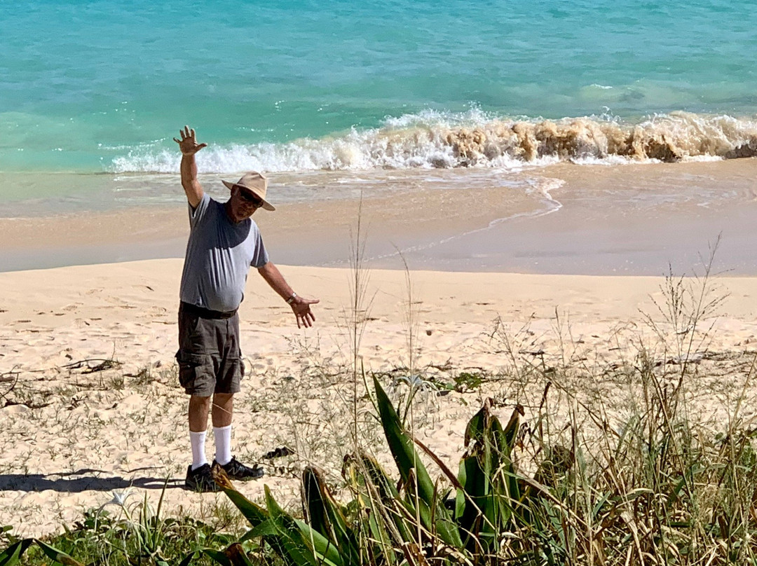 Cooper's Island Nature Reserve-百慕大必去景点