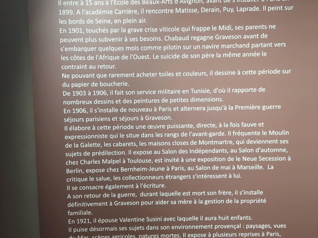 Musee de Region Auguste Chabaud景点图片