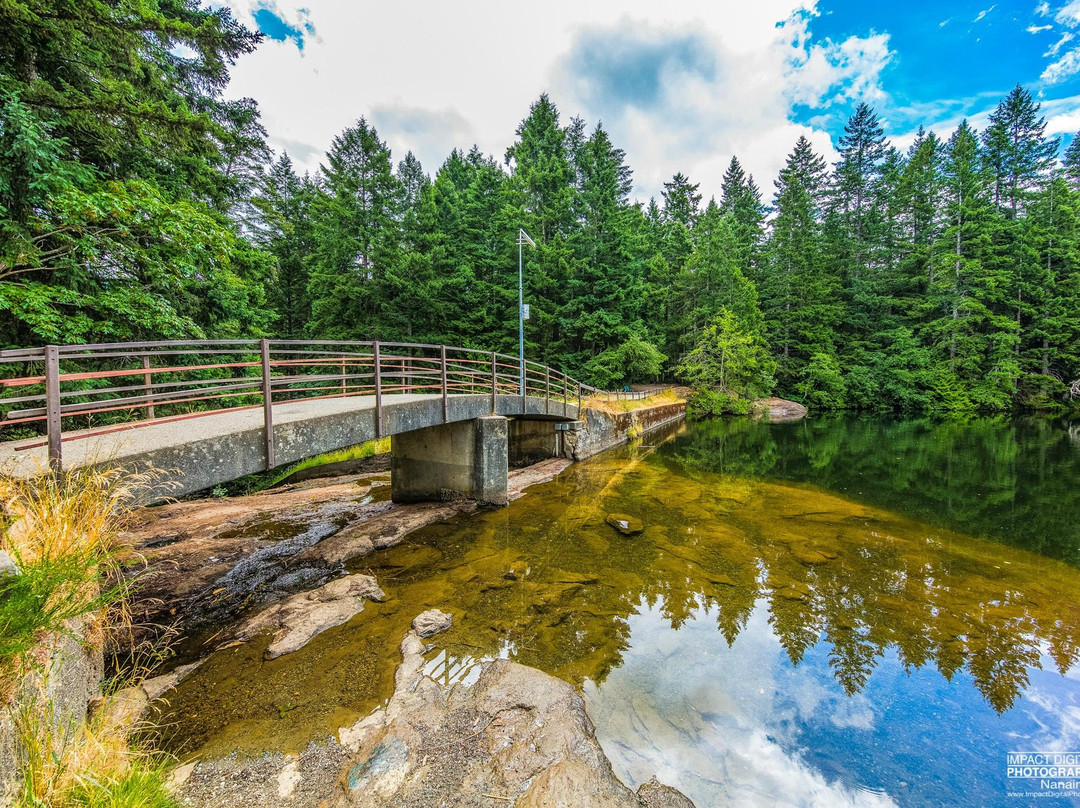 Colliery Dam Park景点图片