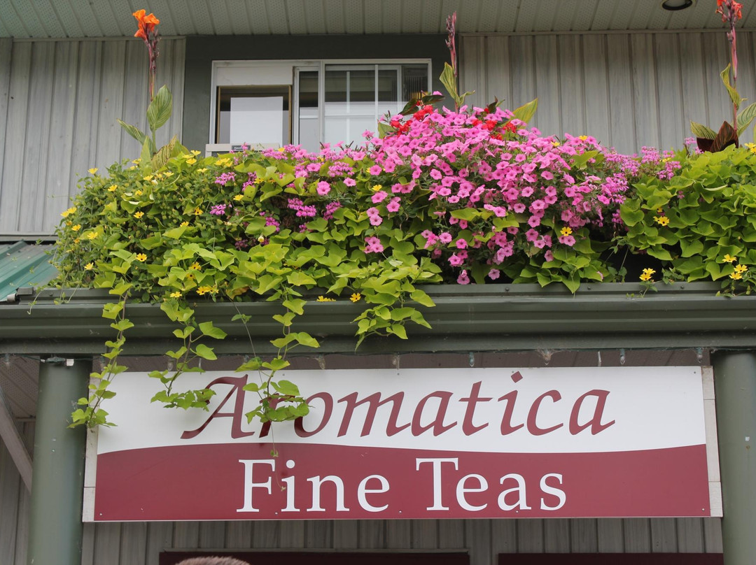 Aromatica Fine Teas景点图片