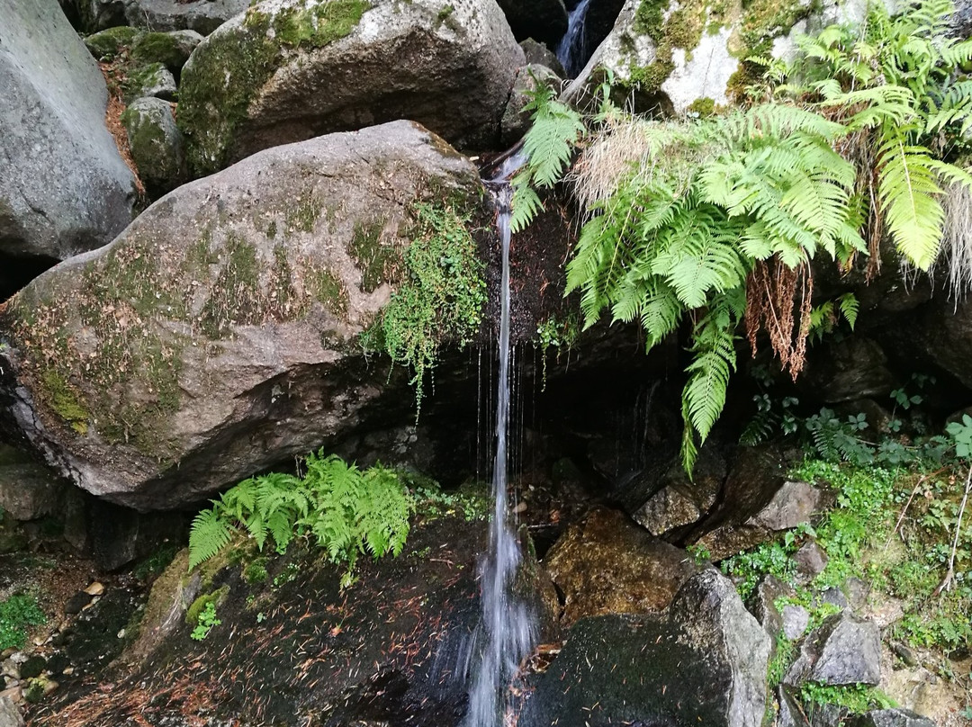 Sierra de Madrid景点图片